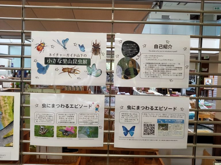 「ネイチャーガイド山下のちいさな里山昆虫展」