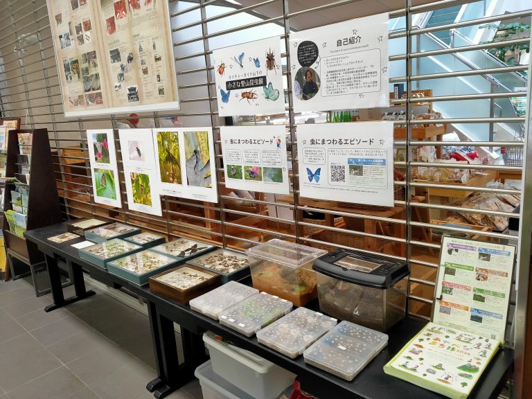 「ネイチャーガイド山下のちいさな里山昆虫展」