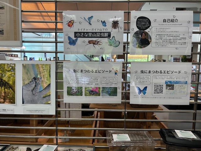 小さな里山昆虫展