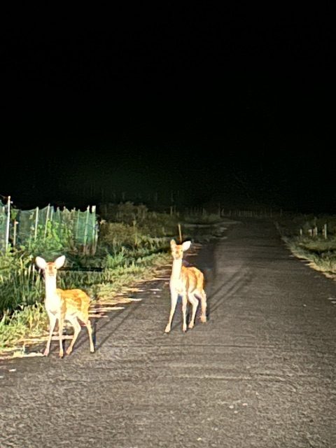 あやべ温泉・二王公園は随分秋らしくなりました。