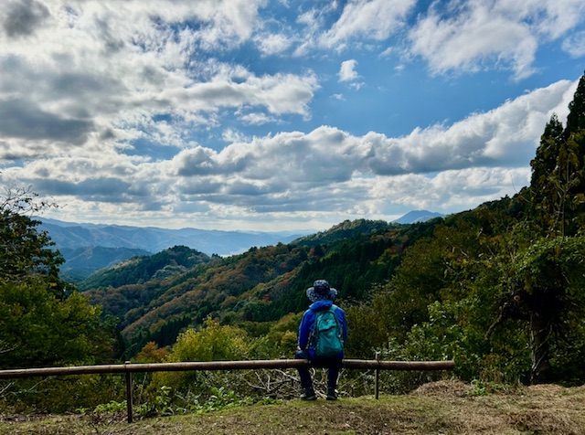 64才社長が仕事をさぼって二王門の紅葉狩りに行ってきたPart2