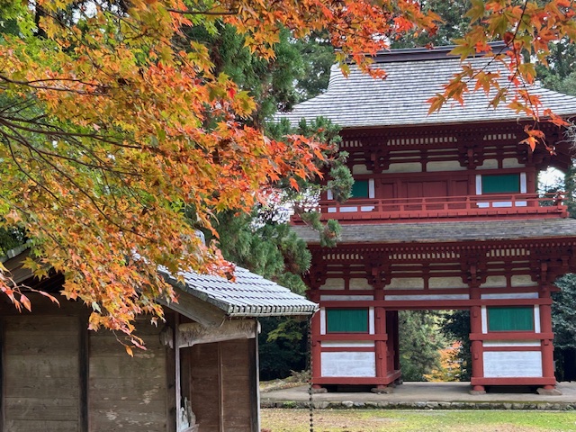 64才社長が仕事をさぼって二王門の紅葉狩りに行ってきたPart2