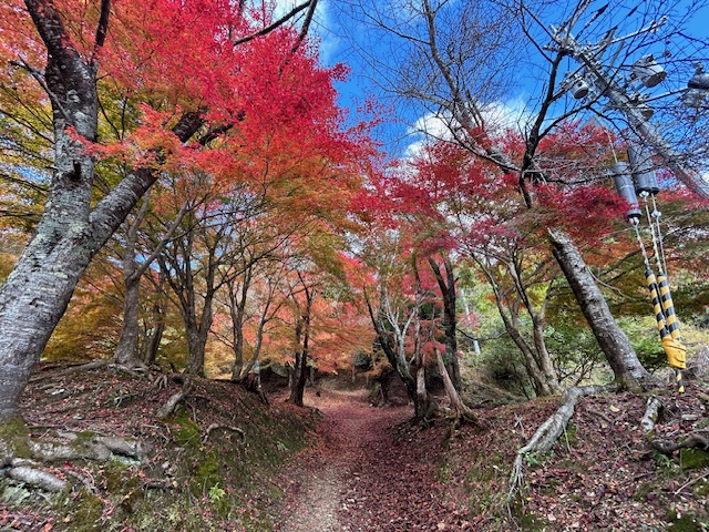 64才社長が仕事をさぼって二王門の紅葉狩りに行ってきたPart2