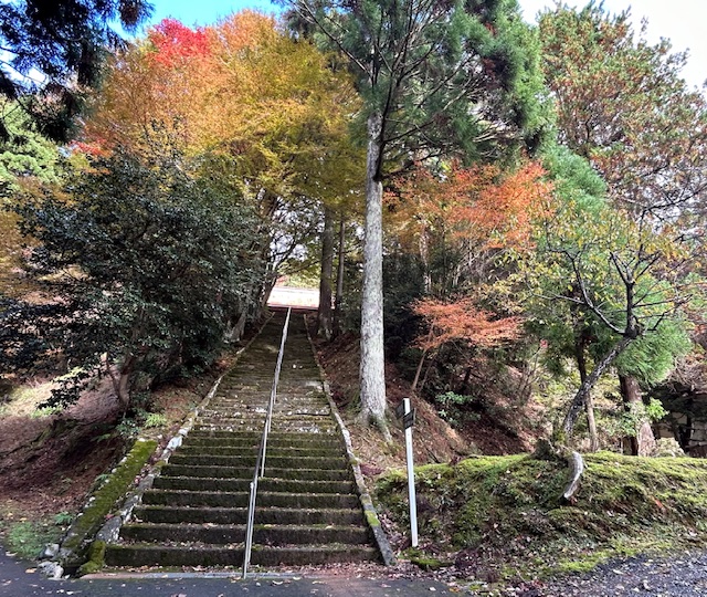 64才社長が仕事をさぼって二王門の紅葉狩りに行ってきたPart2