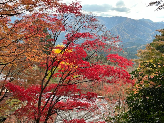 64才社長が仕事をさぼって二王門の紅葉狩りに行ってきたPart2