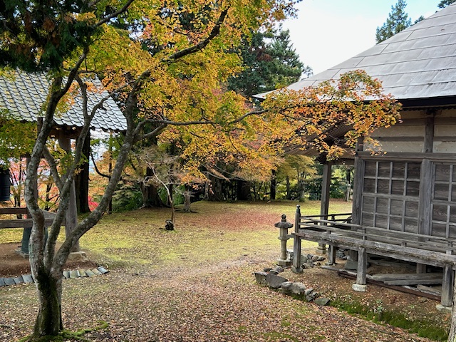 64才社長が仕事をさぼって二王門の紅葉狩りに行ってきたPart2